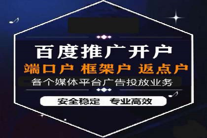 网络推广与竞价广告：双管齐下的策略案例